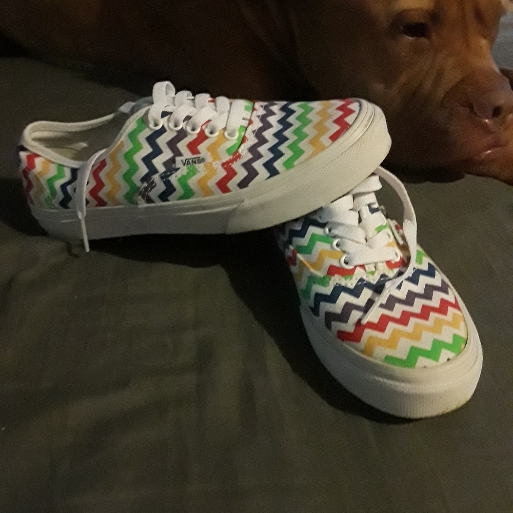 Vans Rainbow skater shoes size 6.5